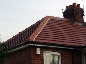 Roof Pointing
